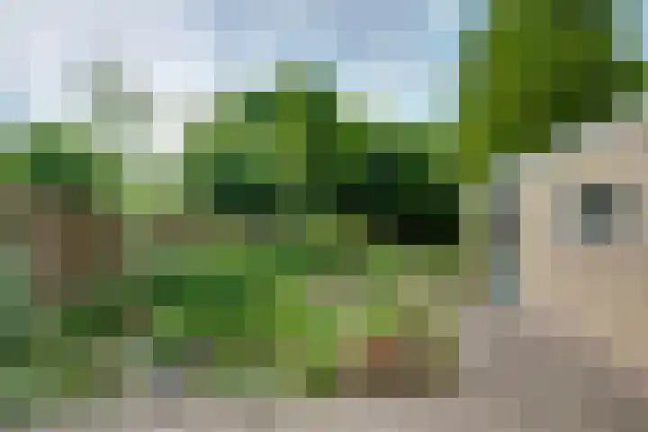 Langenhof 36 Udenhout thumbnail 37