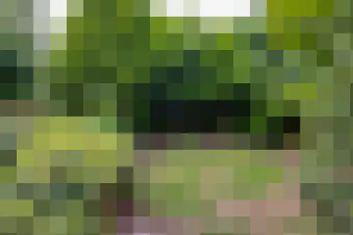 Langenhof 36 Udenhout thumbnail 38