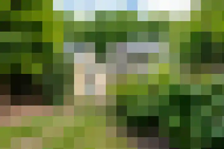 Langenhof 36 Udenhout thumbnail 39