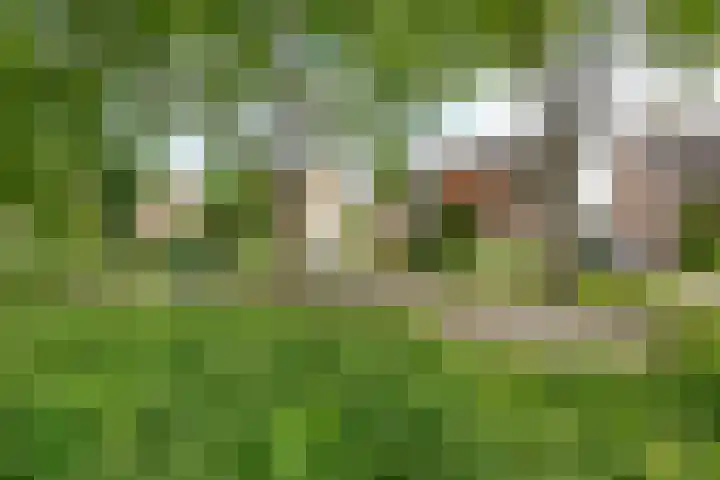 Langenhof 36 Udenhout thumbnail 5