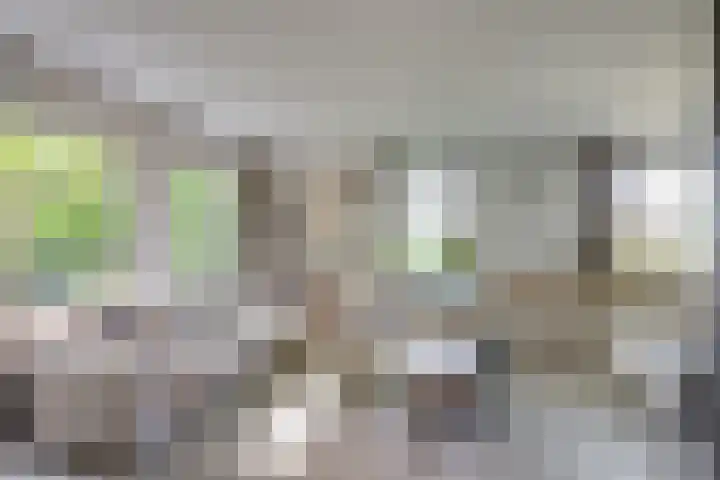 Langenhof 5 Udenhout thumbnail 10