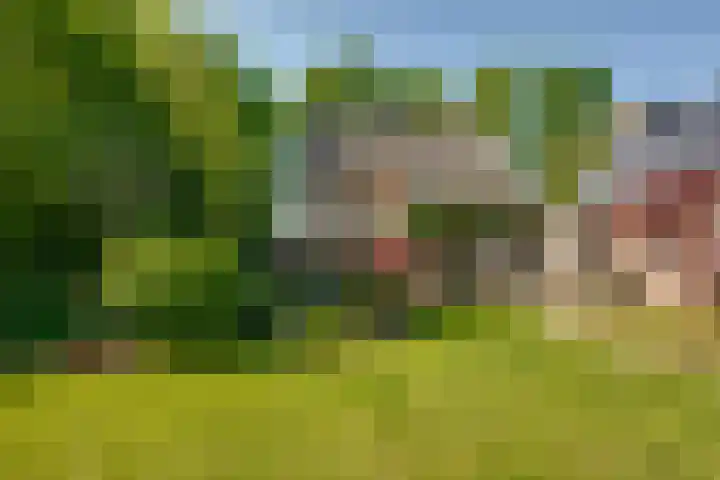 Langenhof 5 Udenhout thumbnail 30