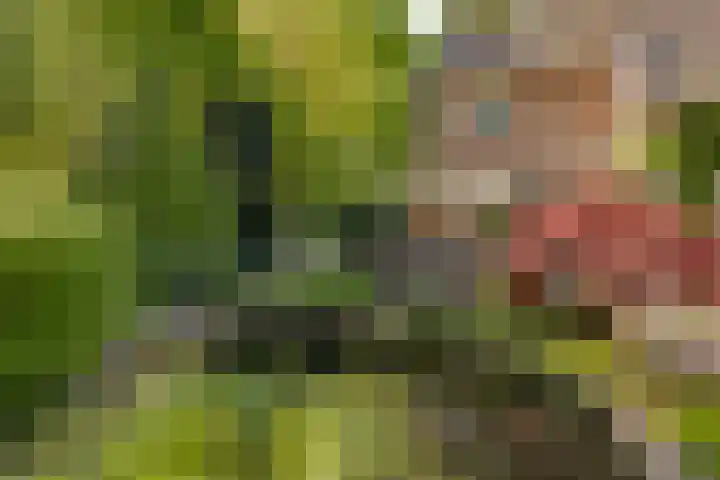Langenhof 5 Udenhout thumbnail 31