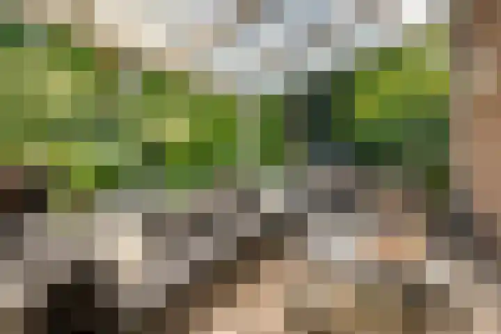Langenhof 5 Udenhout thumbnail 34