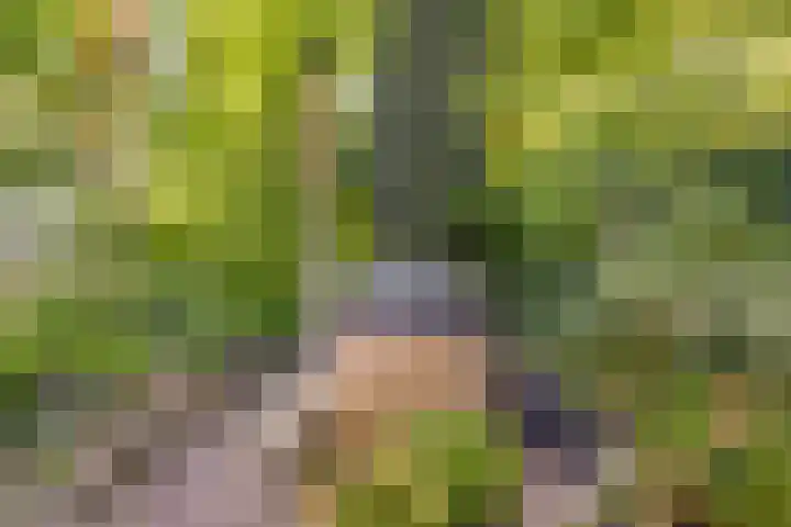 Langenhof 5 Udenhout thumbnail 35