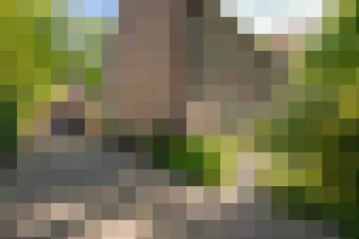 Langenhof 5 Udenhout thumbnail 4