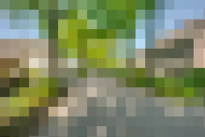 Langenhof 5 Udenhout thumbnail 5