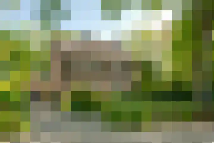 Langenhof 5 Udenhout thumbnail 85