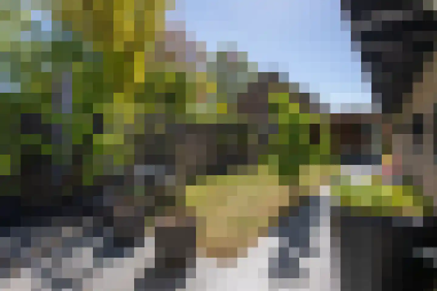 Langenhof 64 Udenhout thumbnail 30