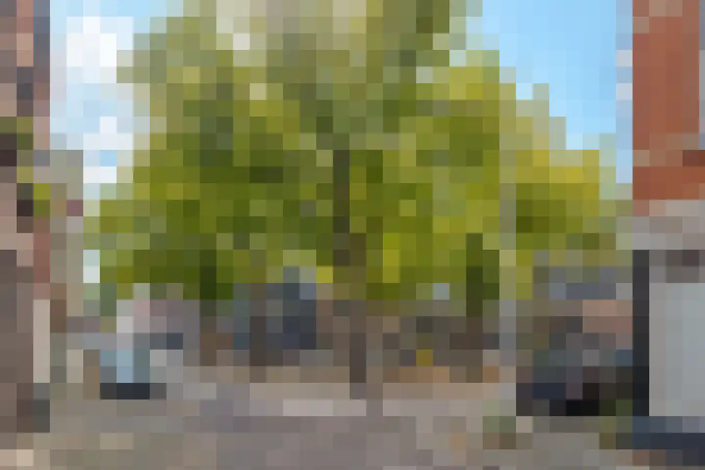 Langenholterweg 1 Zwolle thumbnail 45
