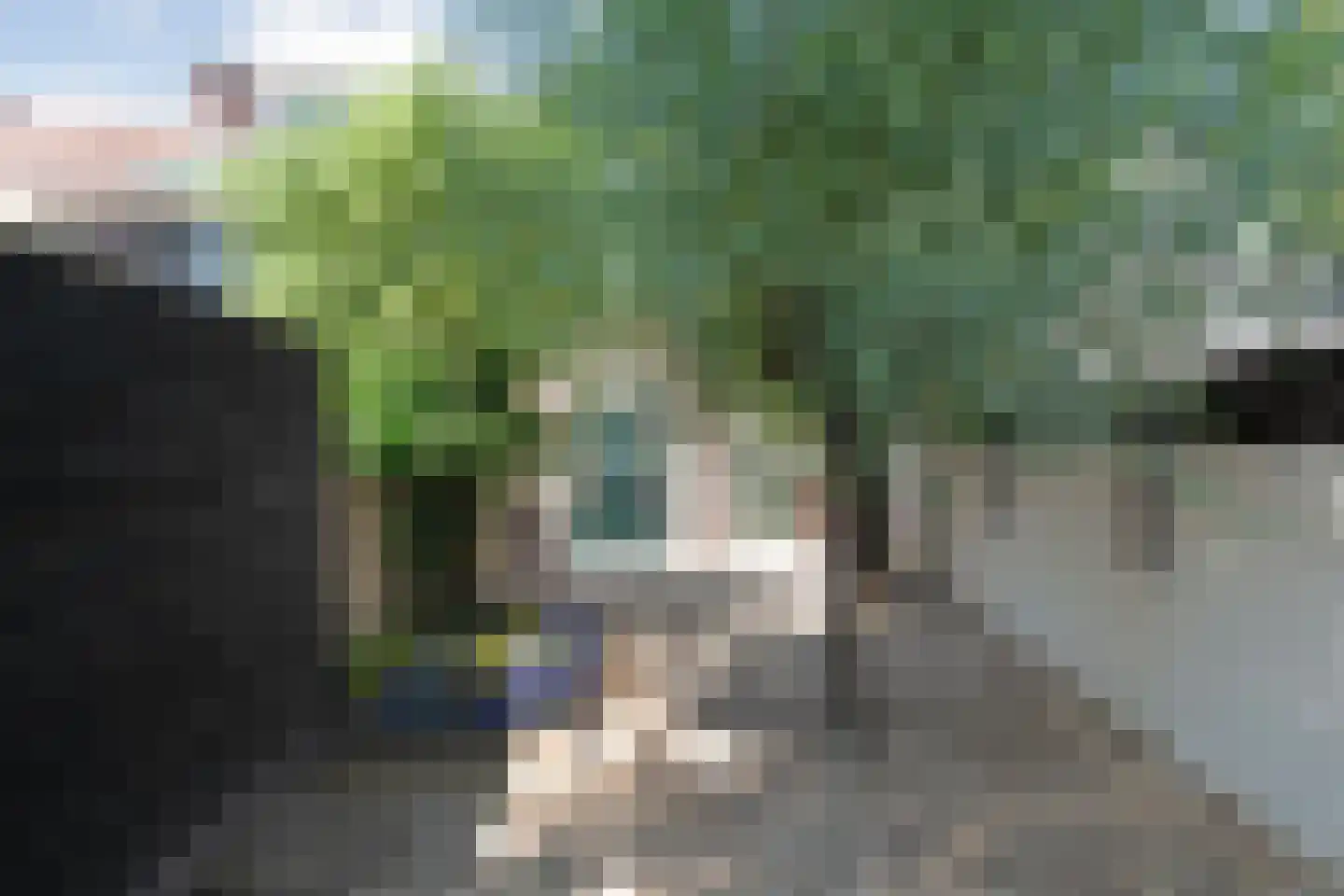 Langenholterweg 20 Zwolle thumbnail 32