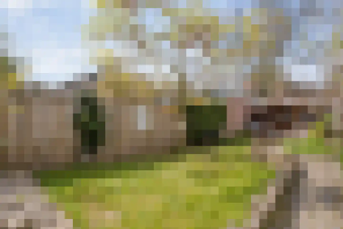 Langenholterweg 23 Zwolle thumbnail 45