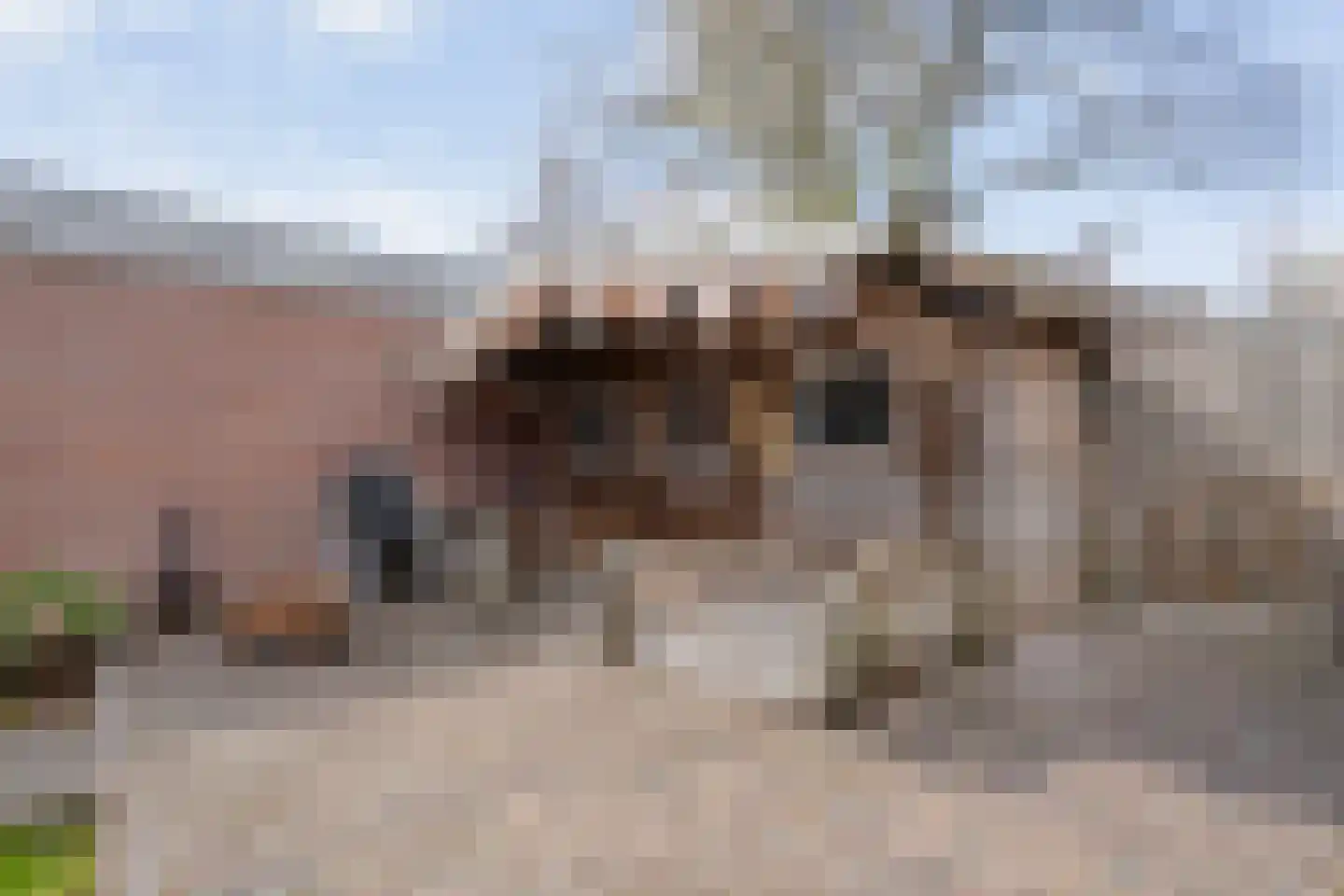 Langenholterweg 23 Zwolle thumbnail 47
