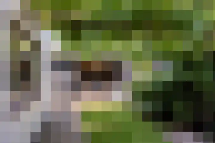 Langenholterweg 35 Zwolle thumbnail 30