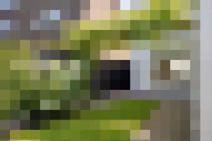Langenholterweg 35 Zwolle thumbnail 32