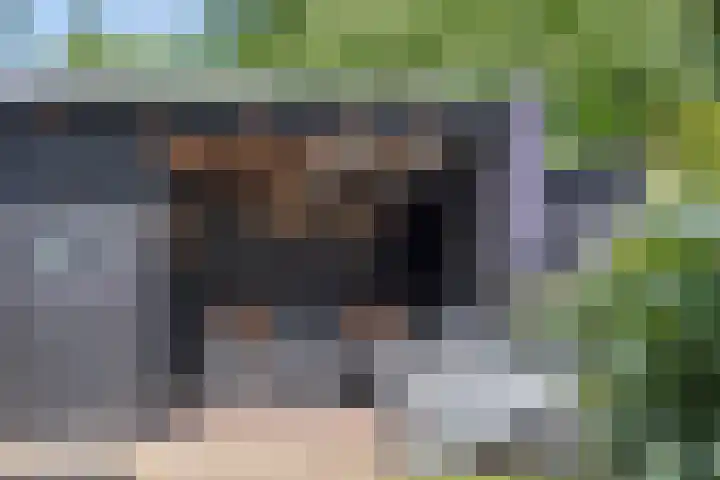 Langenholterweg 35 Zwolle thumbnail 33