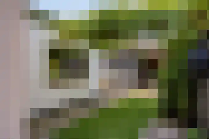 Langenholterweg 35 Zwolle thumbnail 4