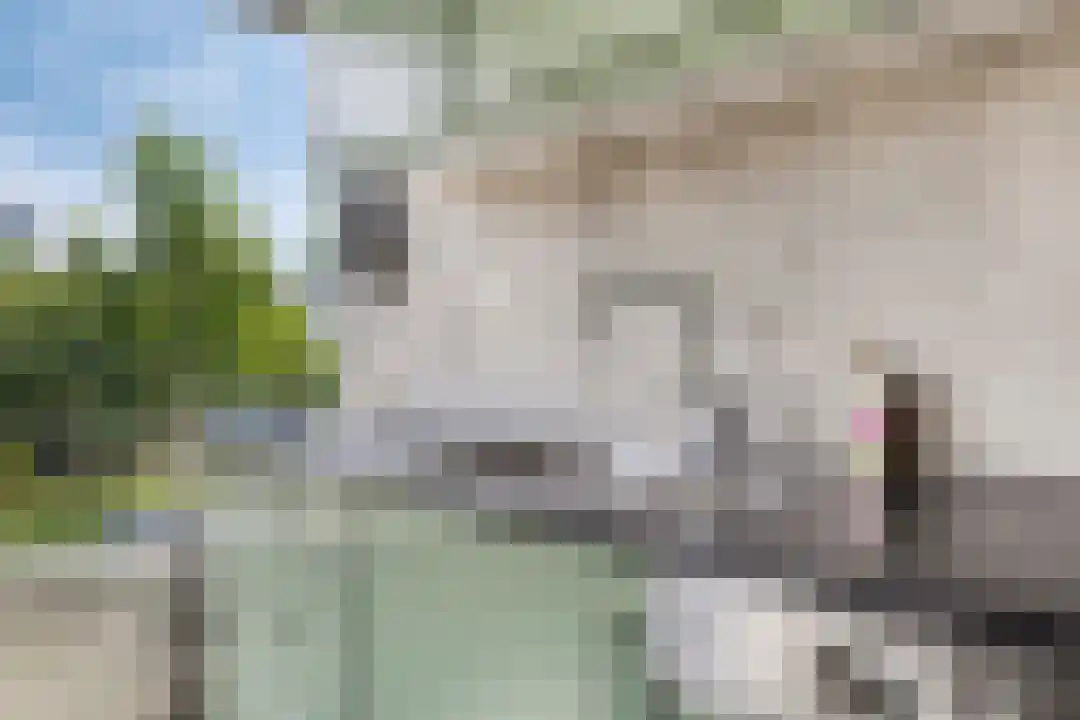Langenhorst 21 Ede thumbnail 13