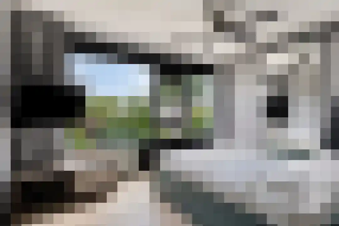 Langenhorst 21 Ede thumbnail 14