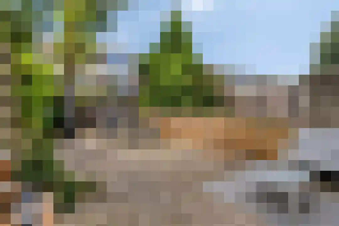 Langenhorst 21 Ede thumbnail 22