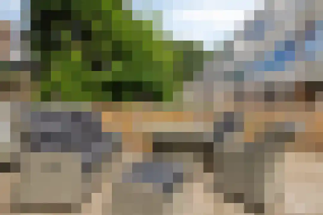 Langenhorst 21 Ede thumbnail 25