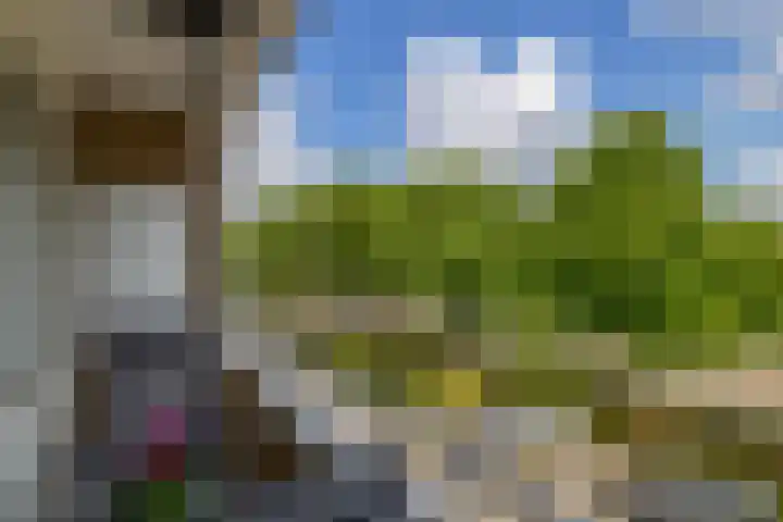 Langenhorst 265 Rotterdam thumbnail 17