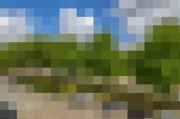 Langenhorst 265 Rotterdam thumbnail 18