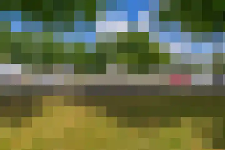 Langenhorst 265 Rotterdam thumbnail 25