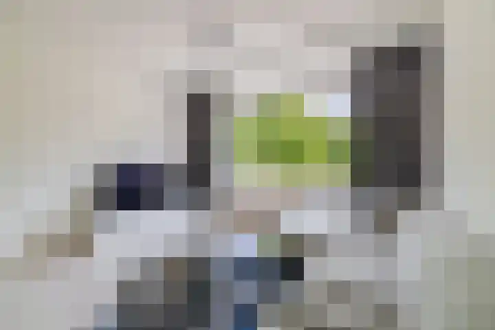 Langenhorst 265 Rotterdam thumbnail 32