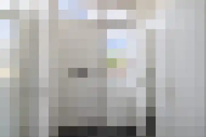 Langenhorst 265 Rotterdam thumbnail 7