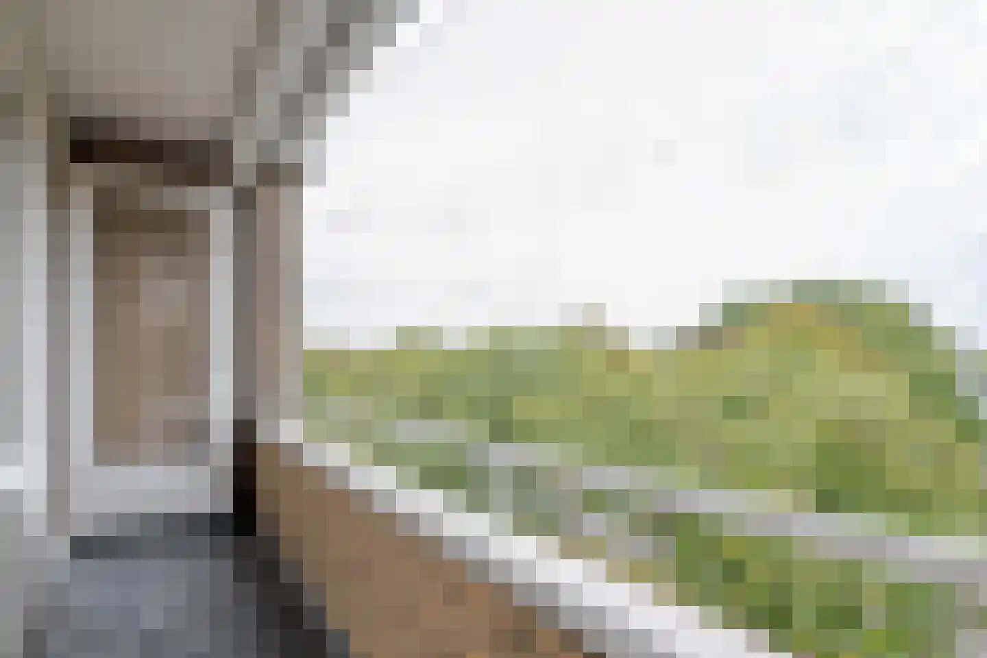 Langenhorst 293 Rotterdam thumbnail 20