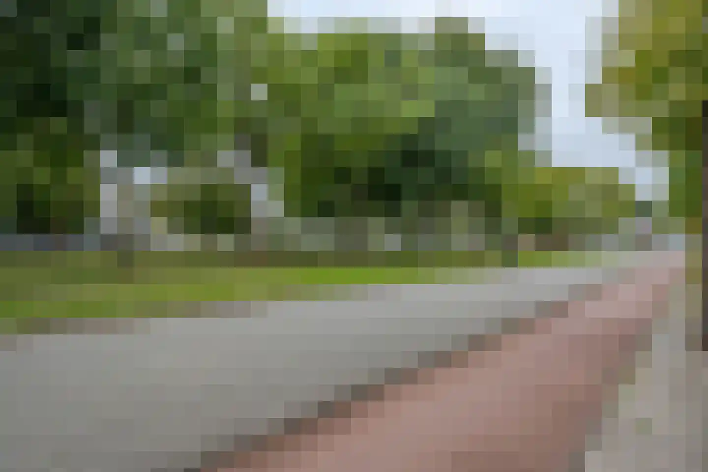 Langenhorst 293 Rotterdam thumbnail 21
