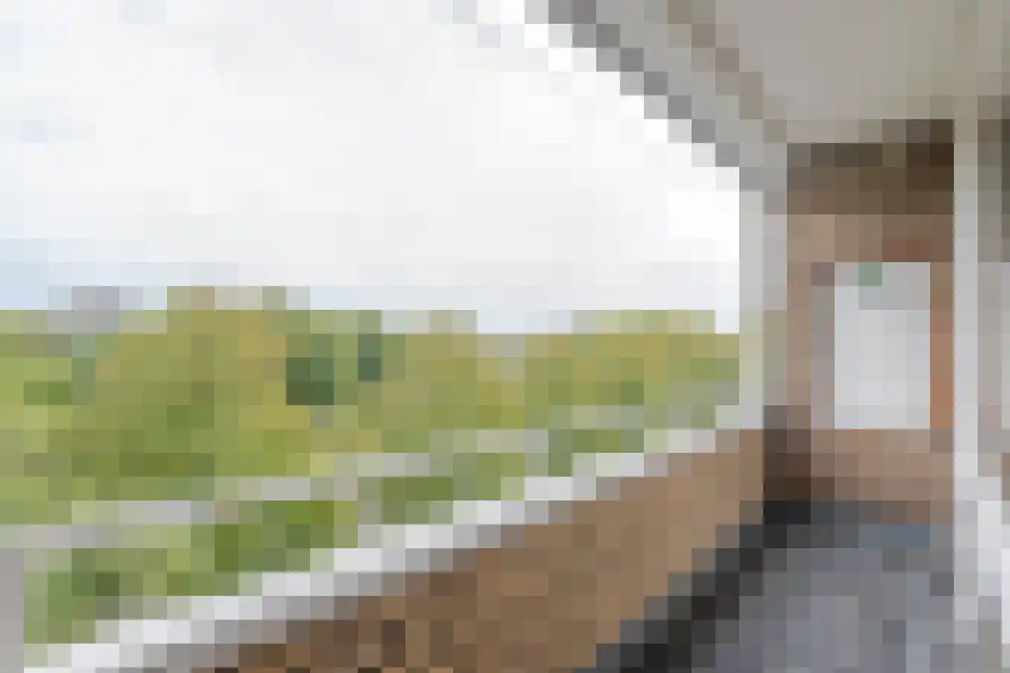 Langenhorst 293 Rotterdam thumbnail 5