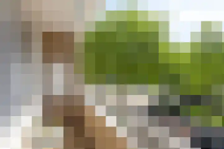 Langenhorst 347 Rotterdam thumbnail 21