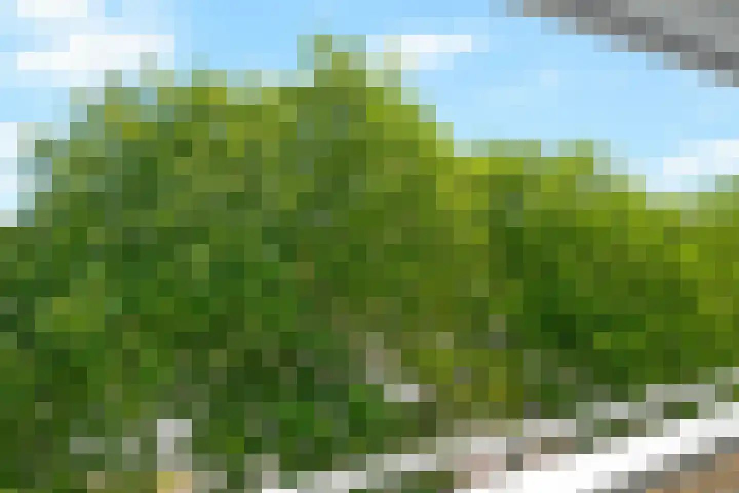 Langenhorst 359 Rotterdam thumbnail 27