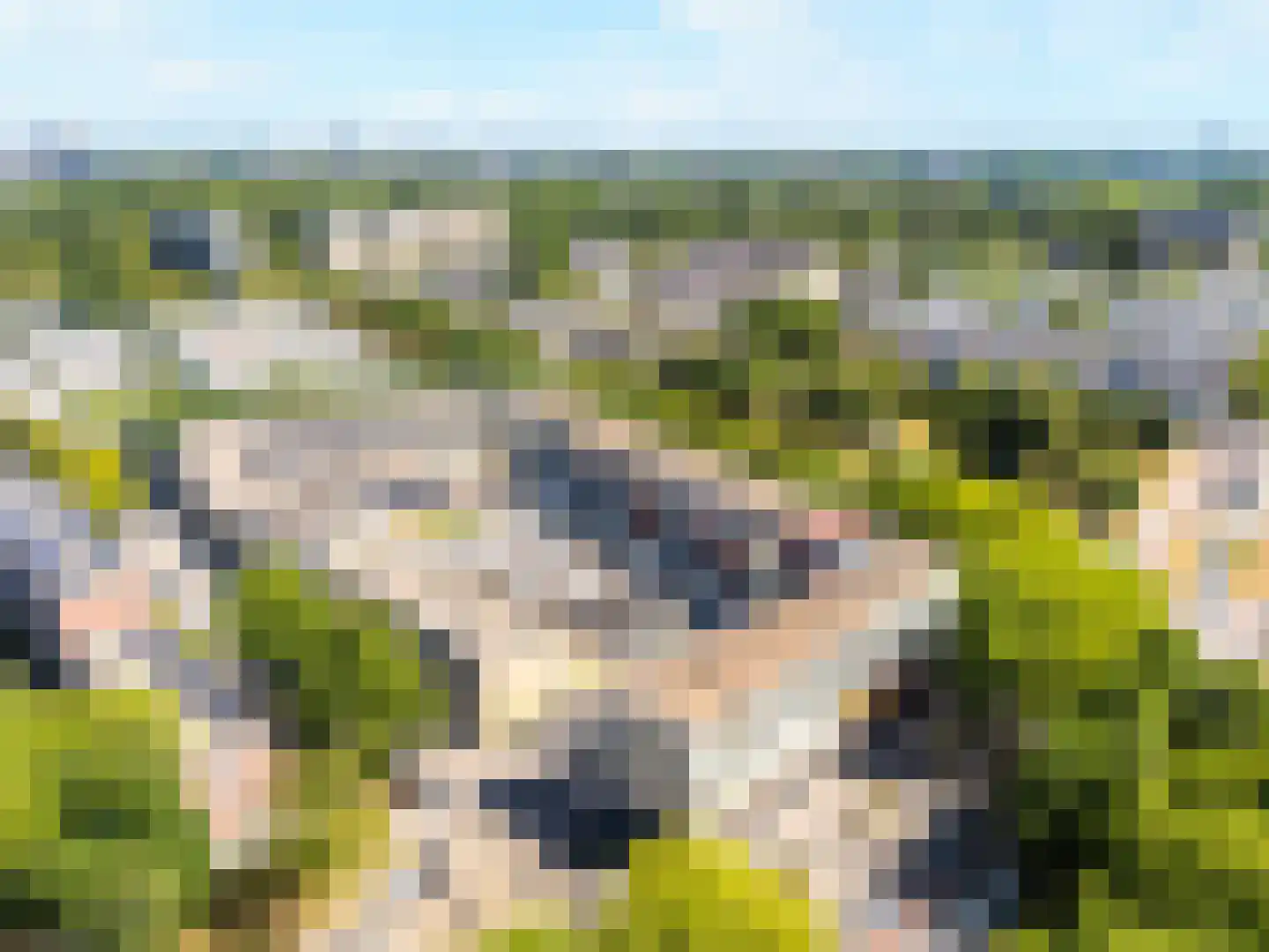 Langenhorst 359 Rotterdam thumbnail 36