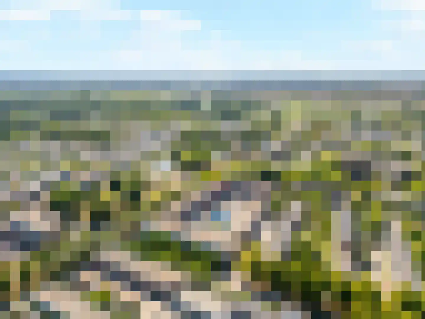 Langenhorst 359 Rotterdam thumbnail 39
