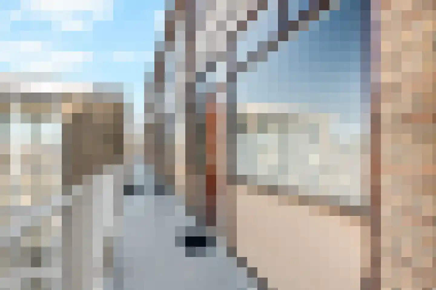 Langenhorst 359 Rotterdam thumbnail 7