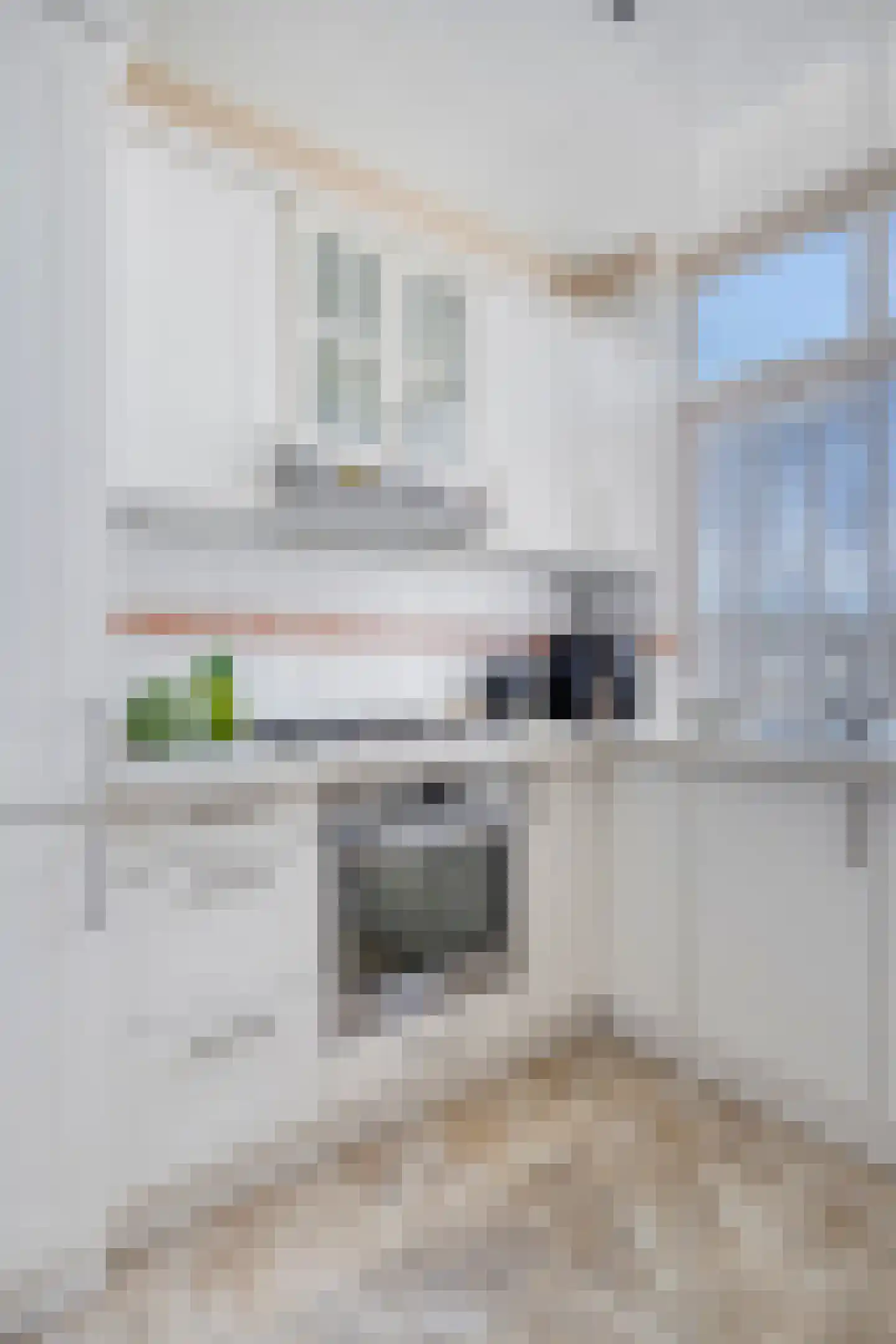Langenhorst 367 Rotterdam thumbnail 14