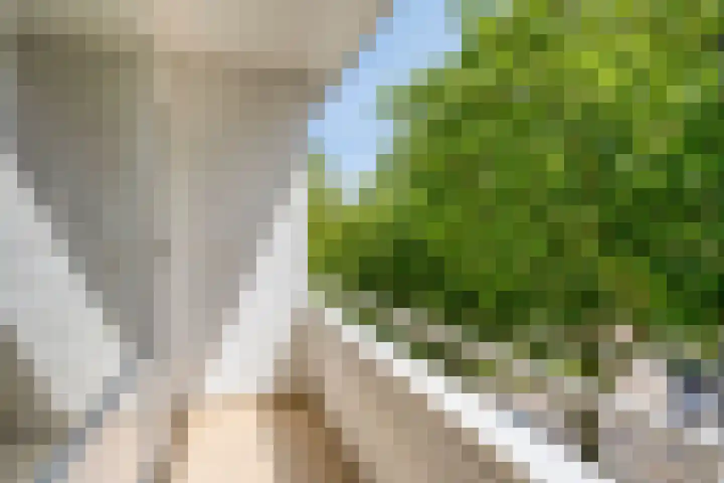 Langenhorst 367 Rotterdam thumbnail 24