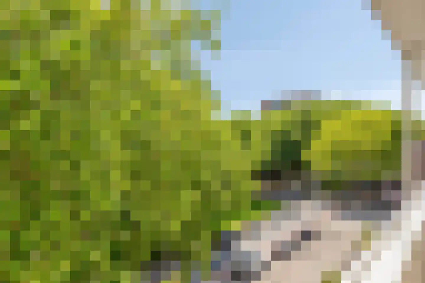 Langenhorst 367 Rotterdam thumbnail 25