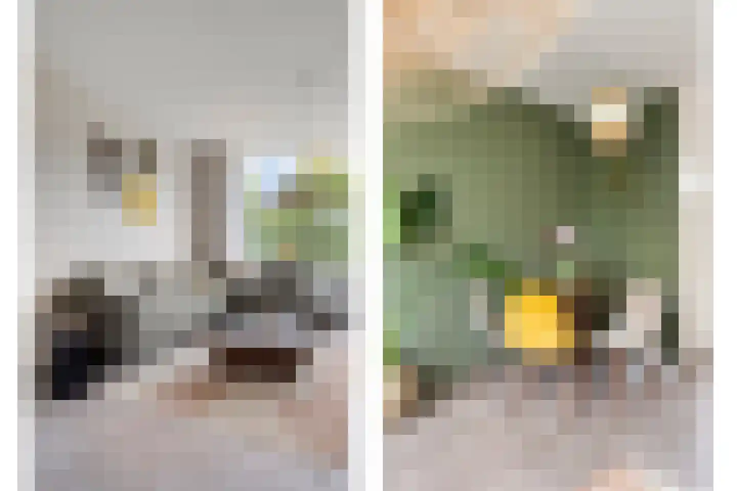 Langenhorst 377 Rotterdam thumbnail 10