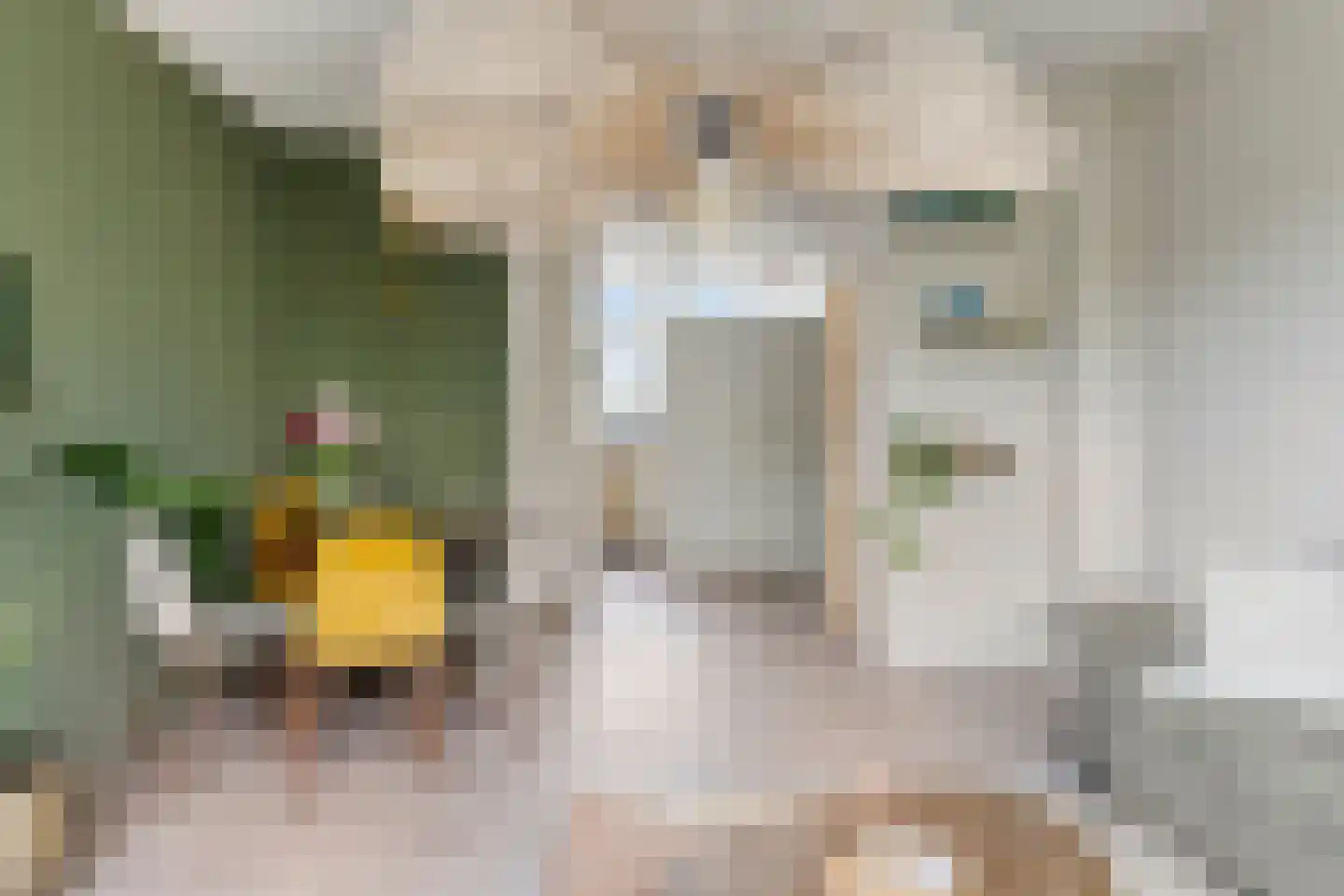 Langenhorst 377 Rotterdam thumbnail 12