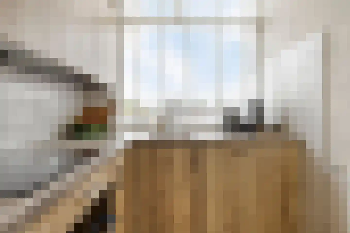 Langenhorst 377 Rotterdam thumbnail 17