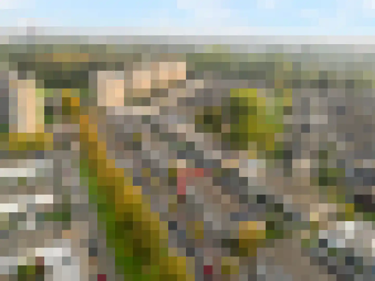 Langenhorst 38 A Rotterdam thumbnail 6