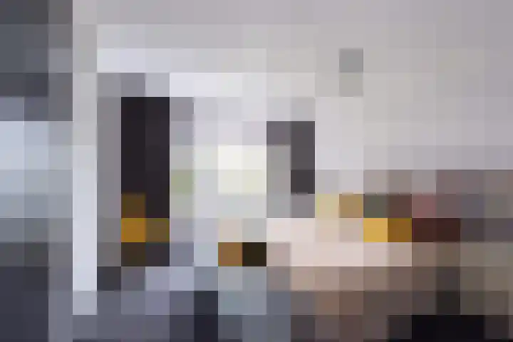 Langenhorst 40 Ede thumbnail 18