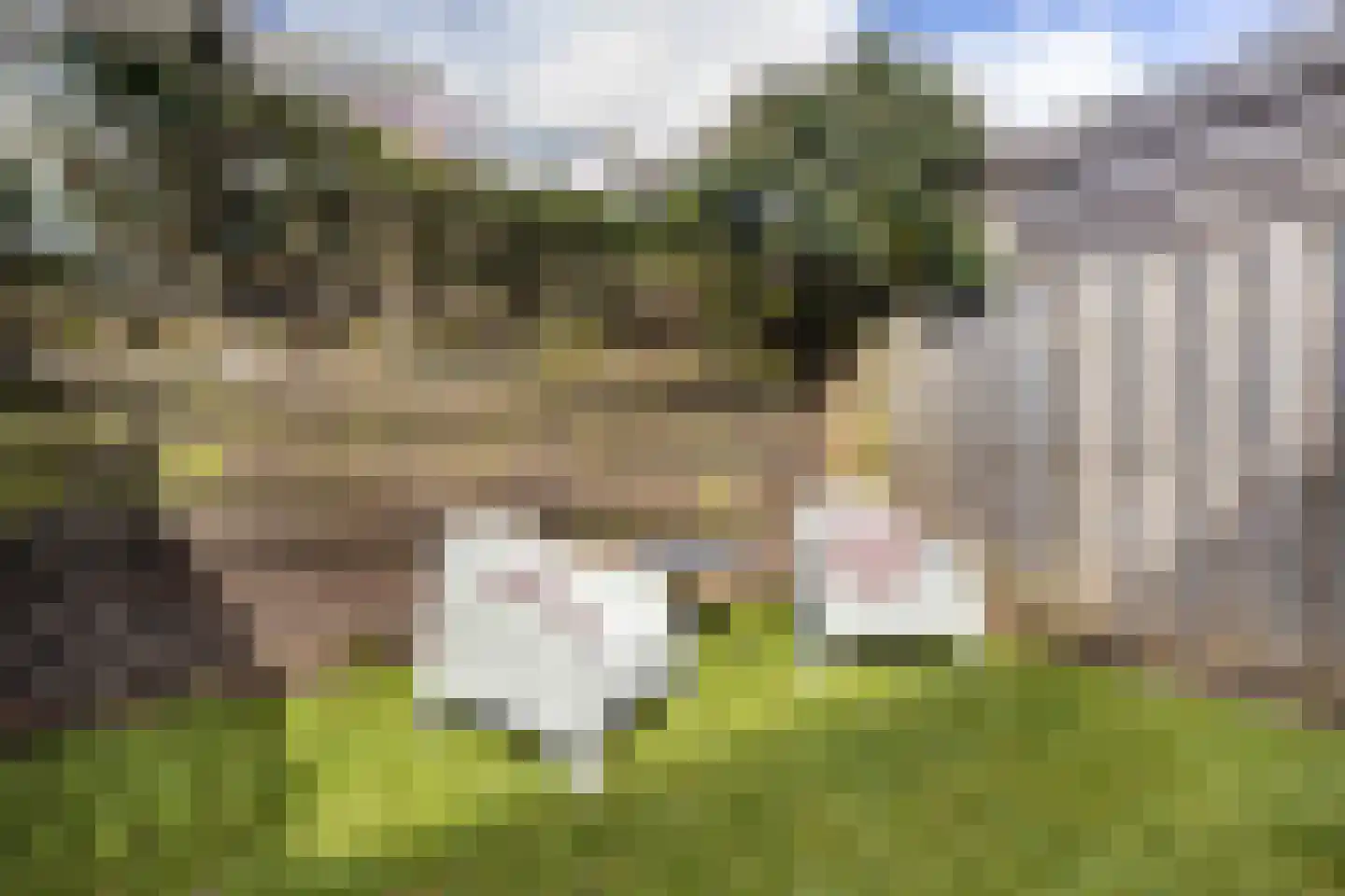 Langenhorst 7 Ede thumbnail 14