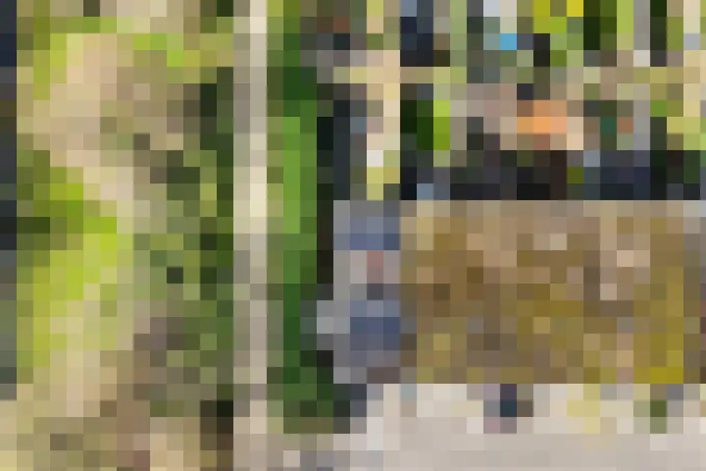 Langenhorst 7 Ede thumbnail 52
