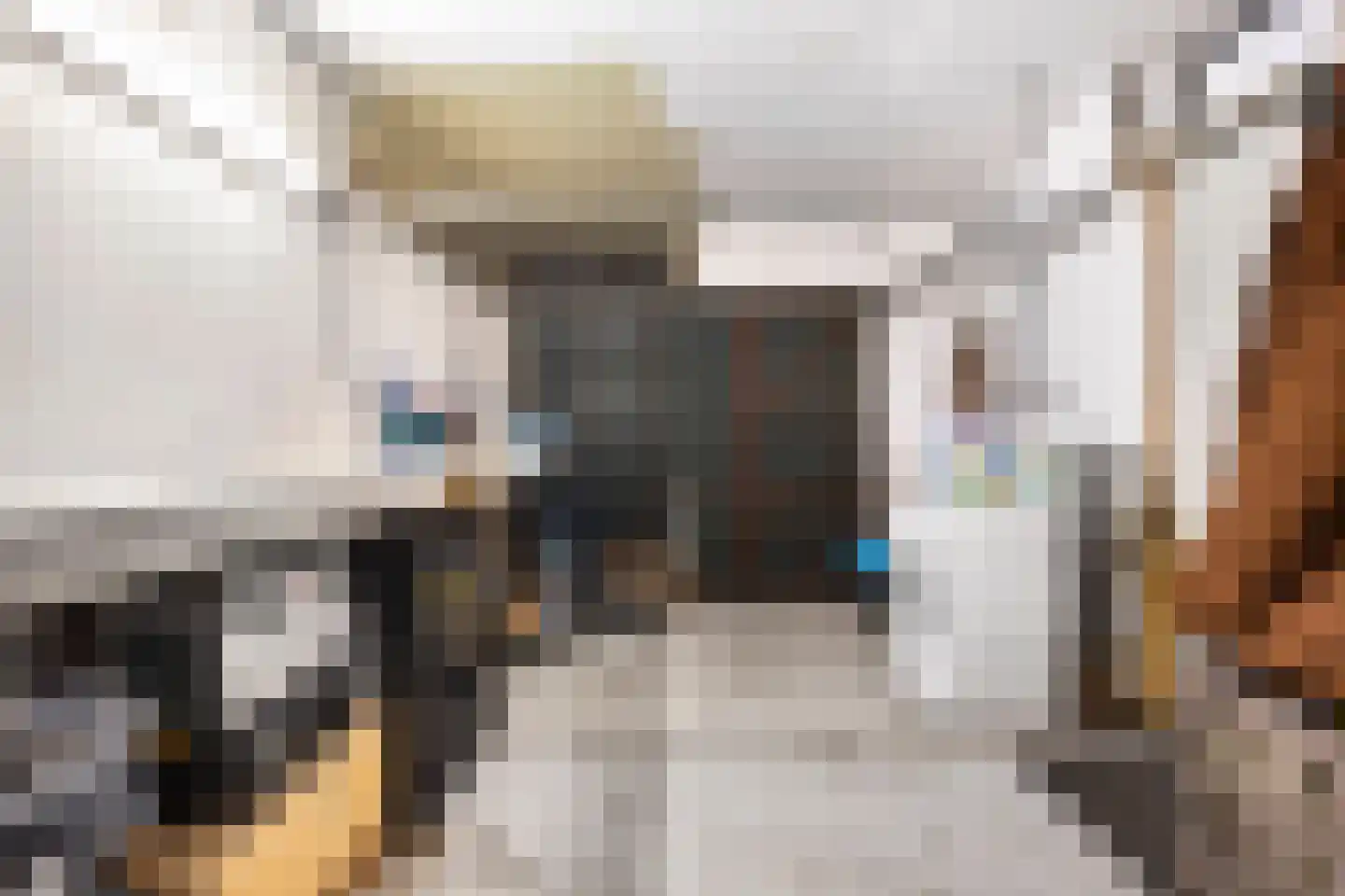 Langenhorst 7 Ede thumbnail 8
