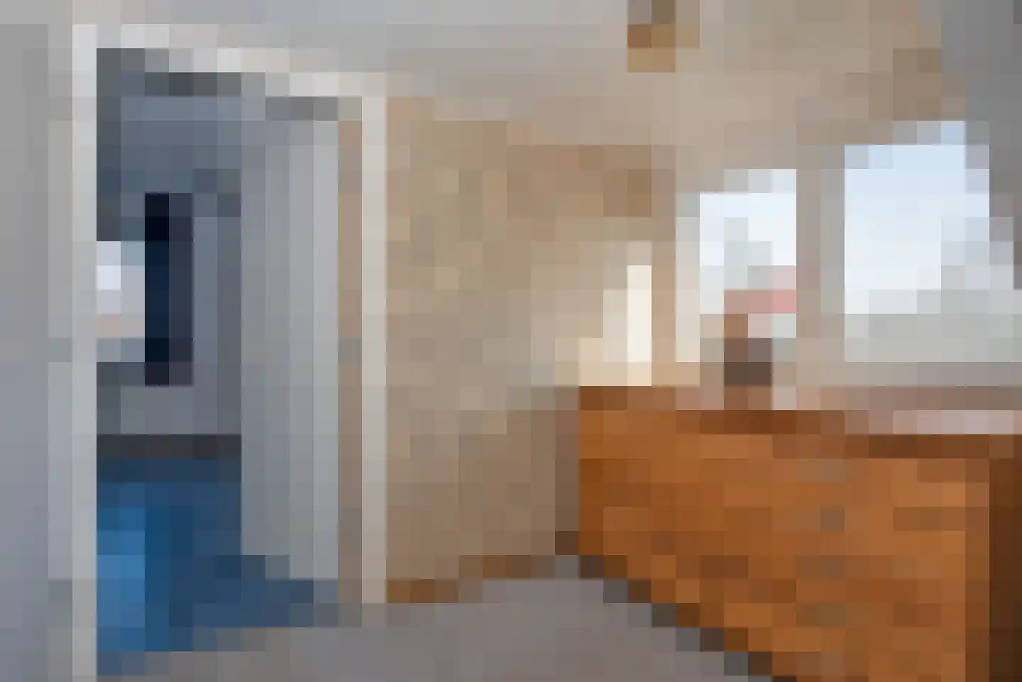 Langenhorsterweg 18 b Ambt Delden thumbnail 21